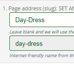 Page address slug