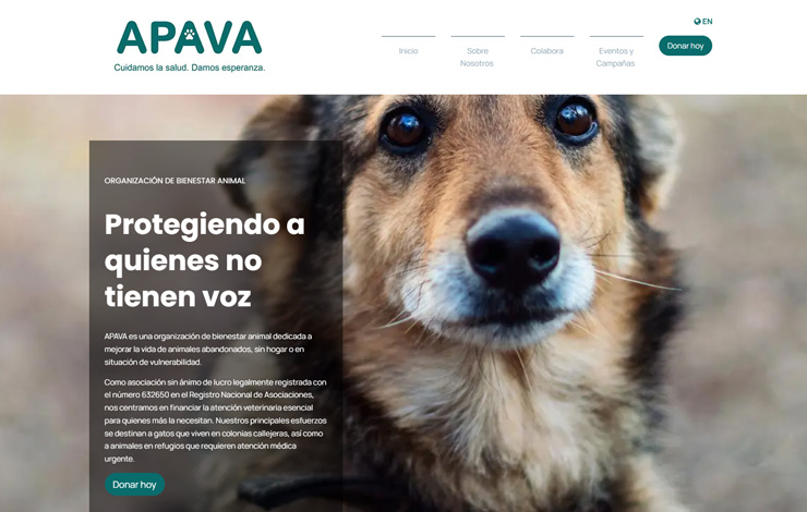 Website Design for Support Animal Welfare | APAVA