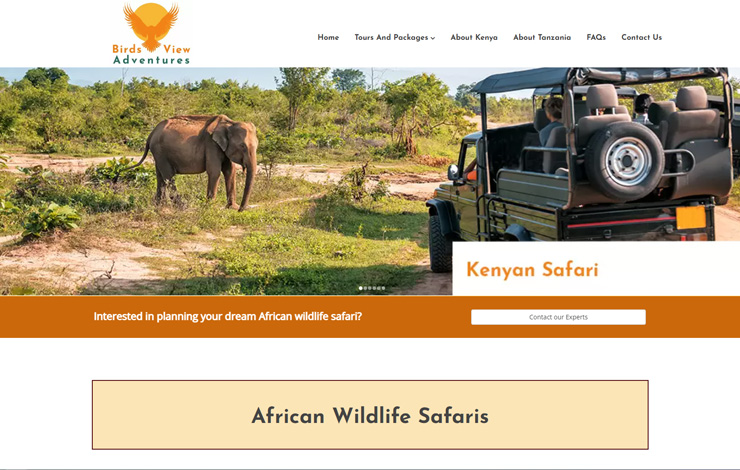African Wildlife Safaris | Birds View Adventures