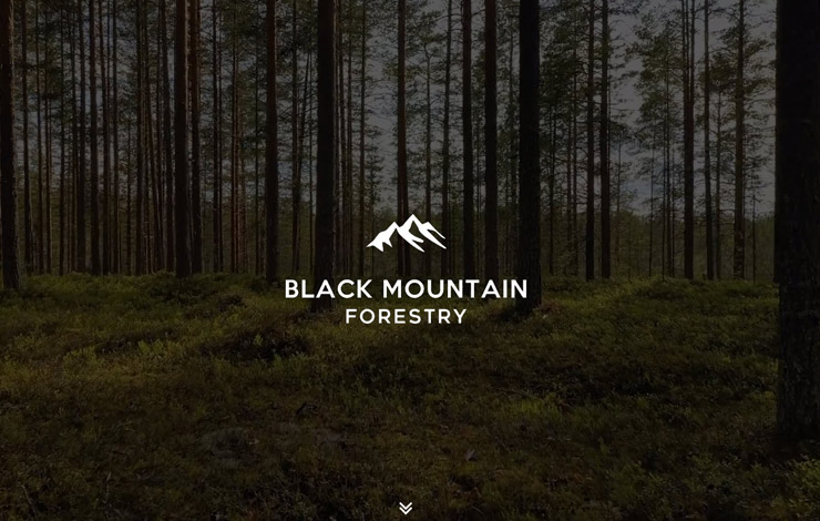 Website Design for UK Woodland Creation and Management | Black Mountain Forestry