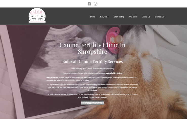 Canine Fertility Clinic in Shropshire | Bullscaff CFS
