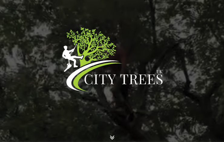 Website Design for Tree Surgery in Bromley | CityTreesUK