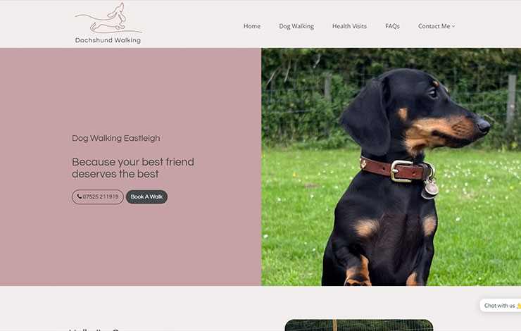 Website Design for Dog Walking in Eastleigh | Dachshund Walking
