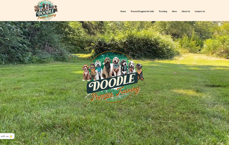 Website Design for Doodle puppies for sale | Doodle Puppies Training