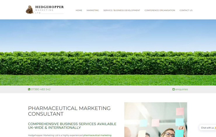 Website Design for Pharmaceutical Marketing Consultants | Hedgehopper Marketing
