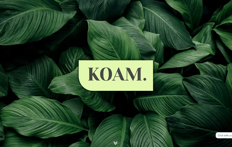 Website Design for Ayurvedic hair treatments | KOAM