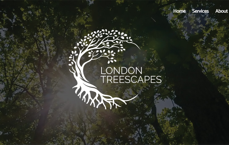 Tree surgeon in Blackheath | London TreeScapes Ltd