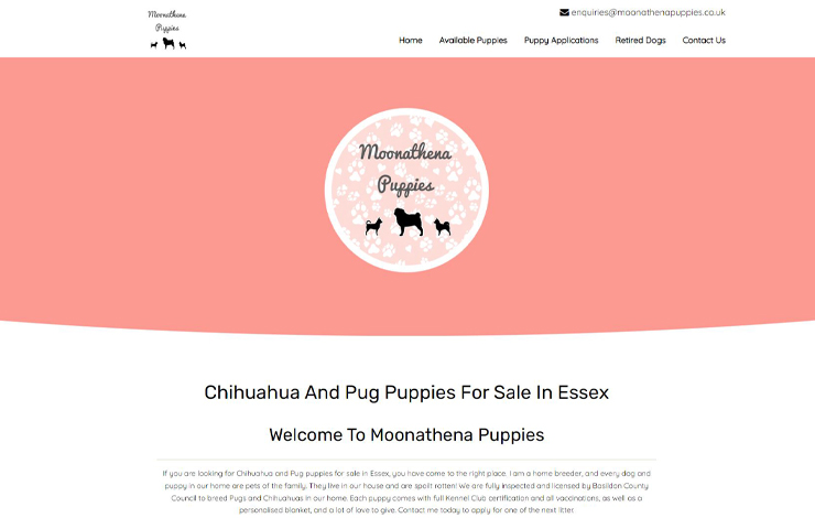 Website Design for Pug puppies for sale in Essex | Moonathena Puppies