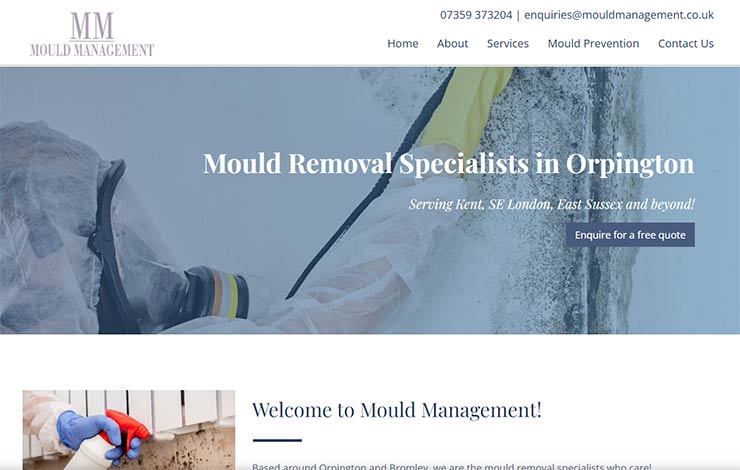 Website Design for Mould removal specialists in Orpington | Mould Management