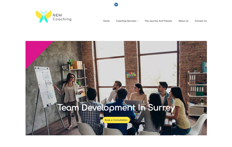 Website Design for Team Development in Surrey | NEM Coaching
