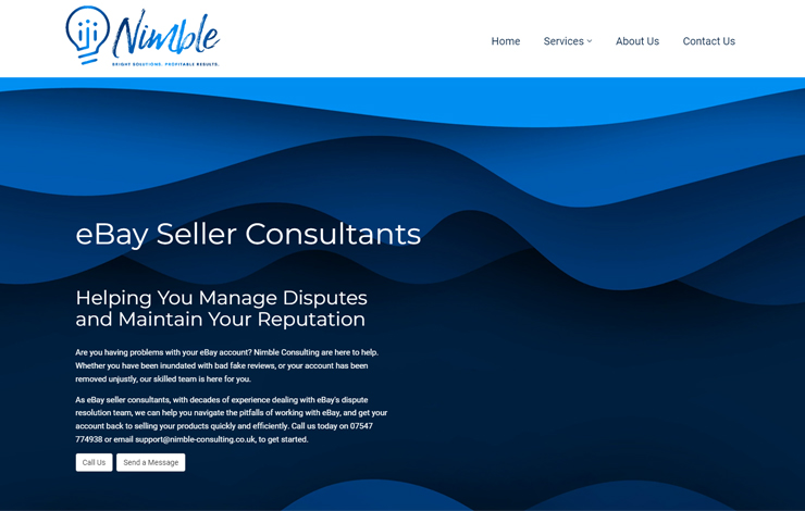 Website Design for eBay Seller Consultants | Nimble Consulting