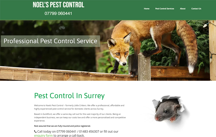 Website Design for Pest Control in Surrey | Noel's Pest Control