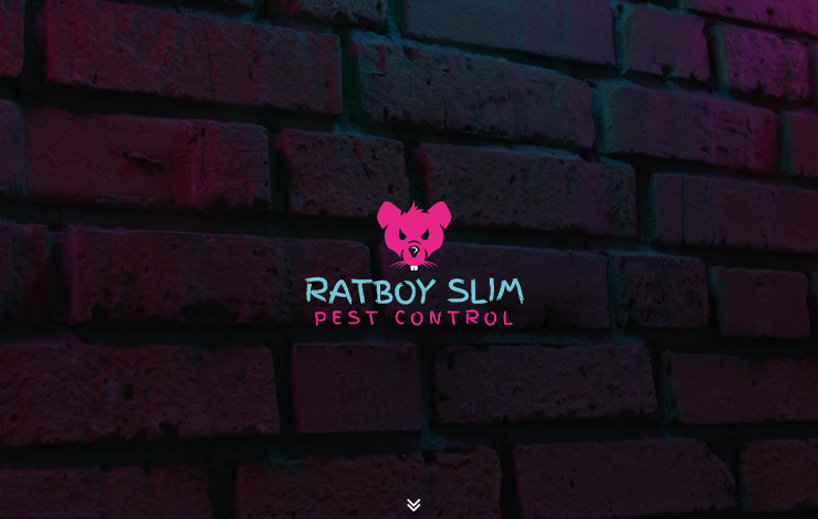 Website Design for Pest control in Brighton | Ratboy Slim Pest Control