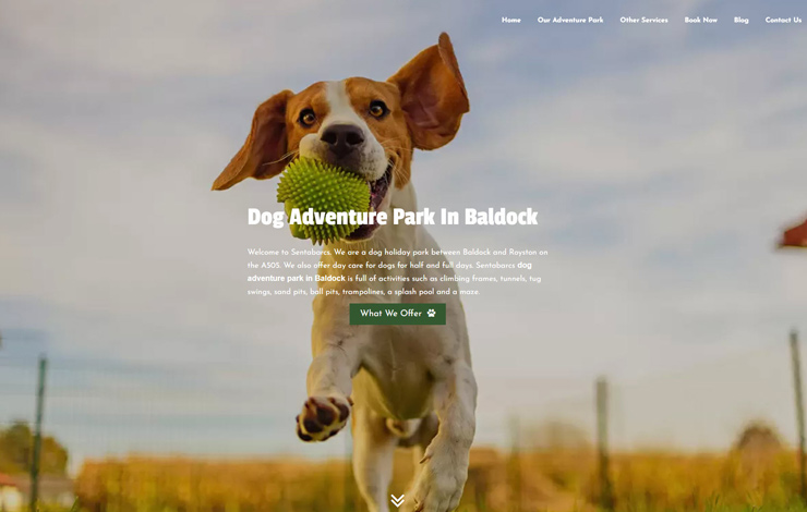 Website Design for Visit our dog adventure park In Baldock | Sentabarcs