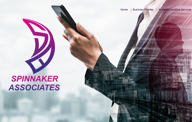 Website Design for Spinnaker Associates | Communications and Utilities provider