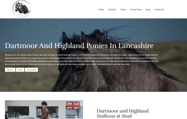 Website Design for Dartmoor Ponies for Sale in Lancashire | Westown Stud Ltd
