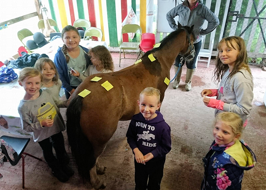 Holly Bush Stables — kids' party venue in London