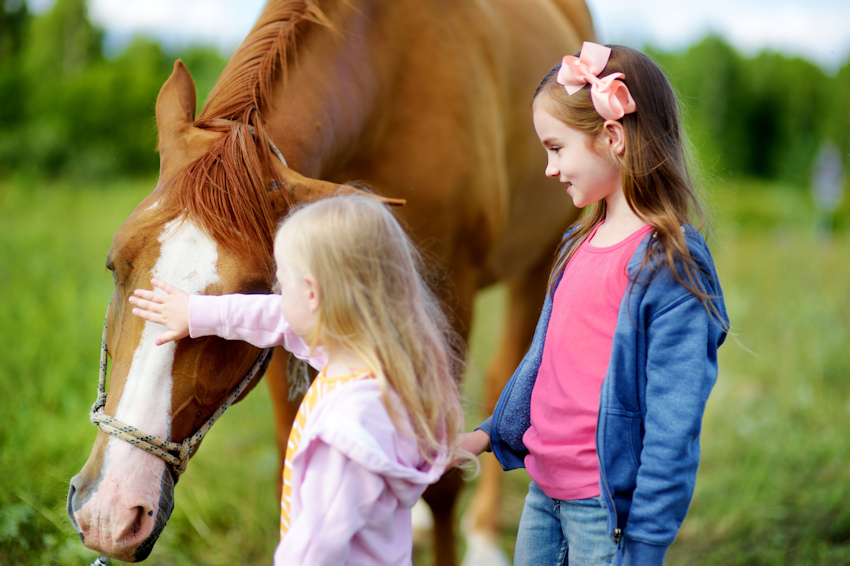 Holly Bush Stables — kids' party venue in London