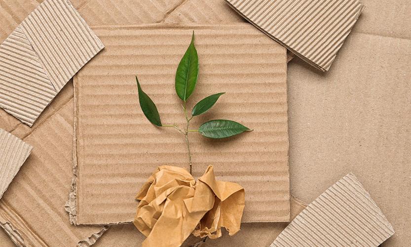How can I make my Ecommerce website more eco-friendly? Approaching your business from a more eco-friendly standpoint is, at least, great marketing and, at most, literally saving the world!