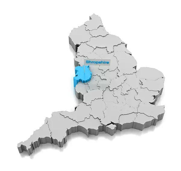 website design for small businesses in UK