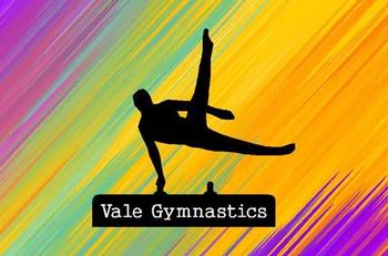Vale Gymnastics client logo