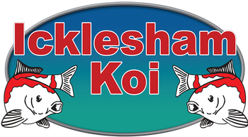 Icklesham Koi client logo