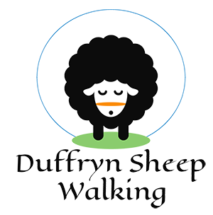 Duffryn Sheep Walking client logo