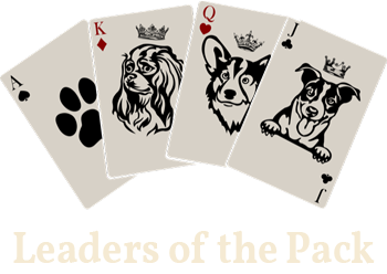 Leaders of the Pack client logo