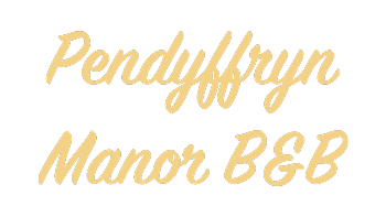 Pendyffryn Manor B&B client logo
