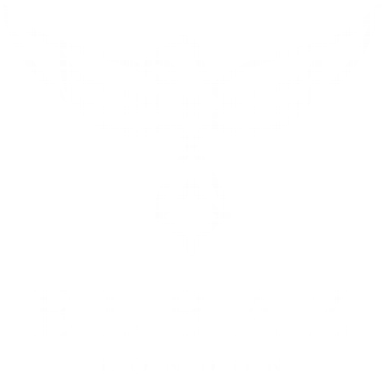 ELBAZ LTD client logo